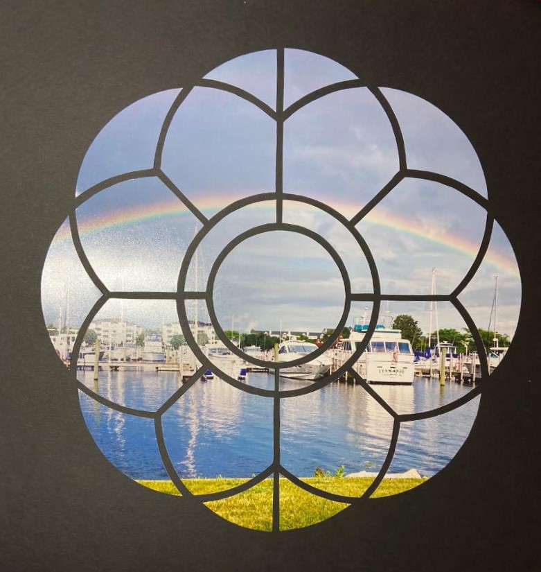 Water Lily 28 – Pat Ashley
