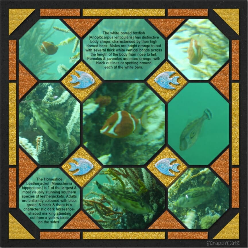 Digital Octagons 4 – Bev Nethercote 2