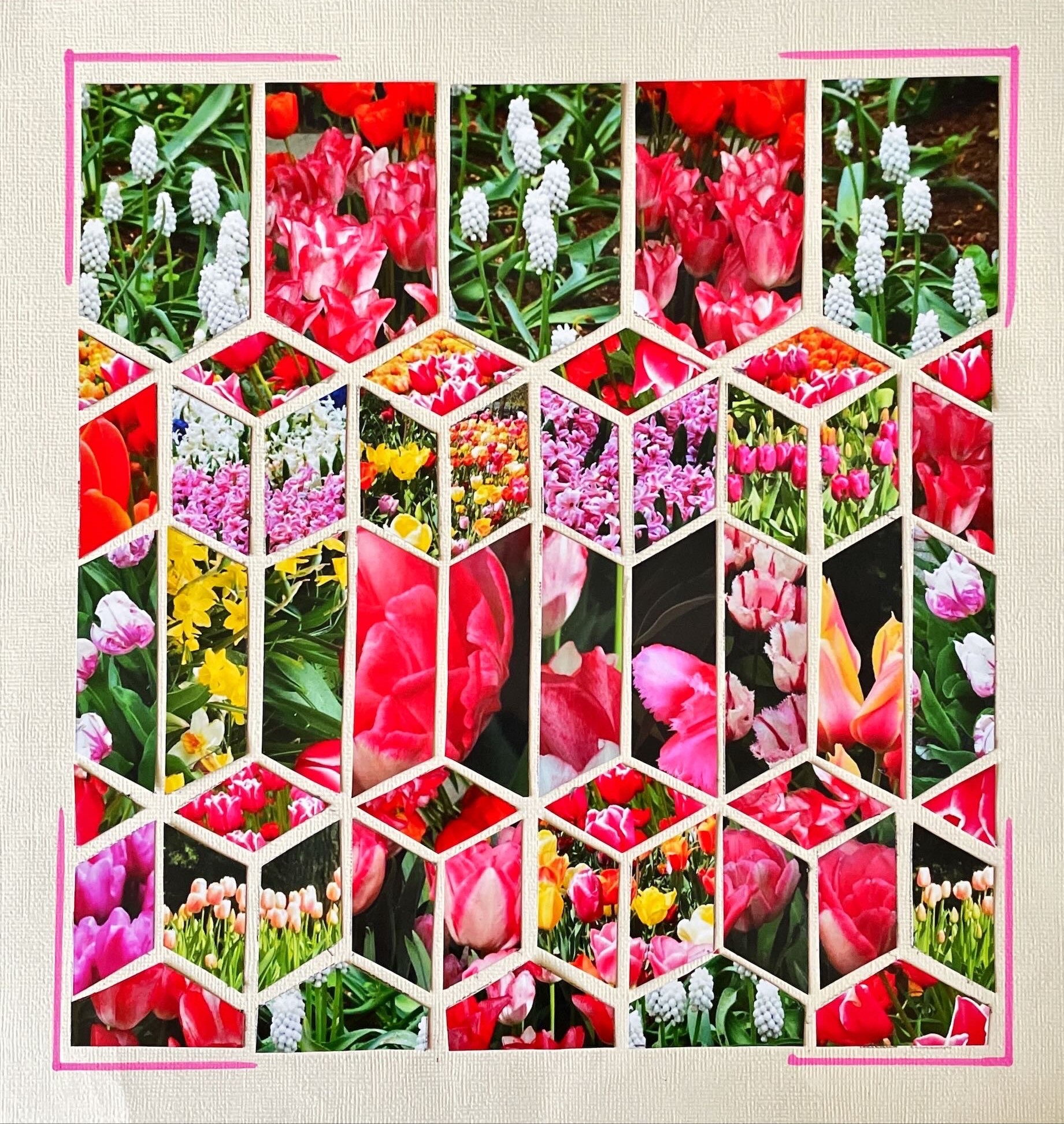 Sewing Stitches 96 – Linda Gallacher