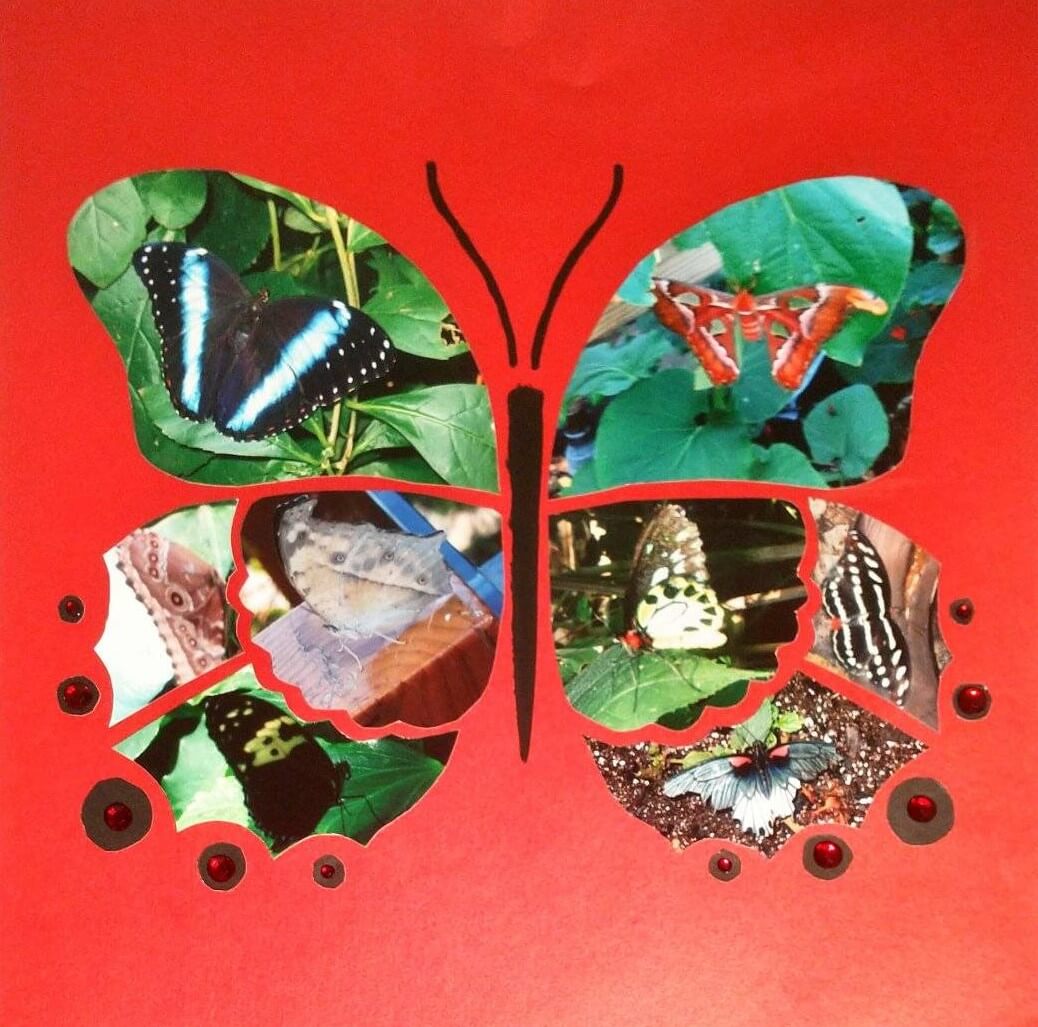 Flip Flop Butterfly 9 – Vicki Kilmer