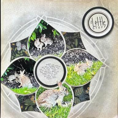 Petals Lite 1 – Tammy Adam