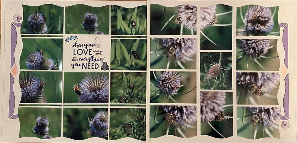 Blooming Flower 64 – Janet Oegema