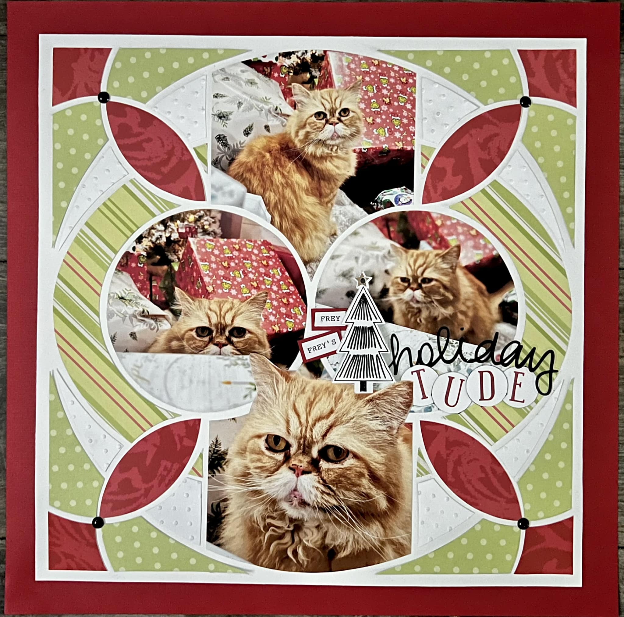 Lace 43 – Tammy Adam