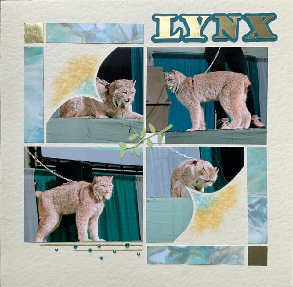 Pinwheel Lite 11 – Bonnie L Haines