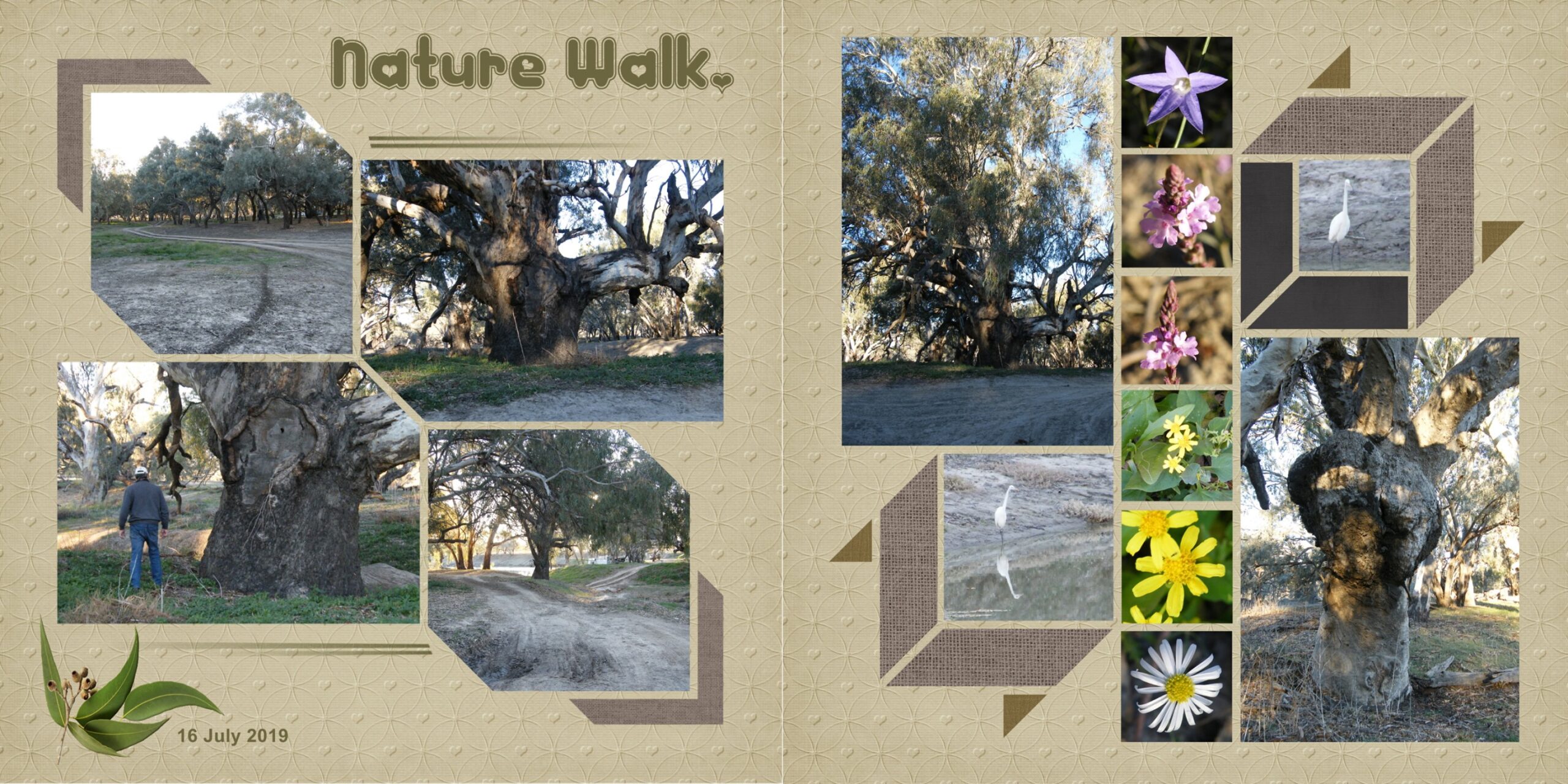 3D  Cubes 176 – Bev Nethercote