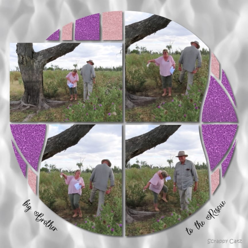 Magical Sphere 46 – Bev Nethercote