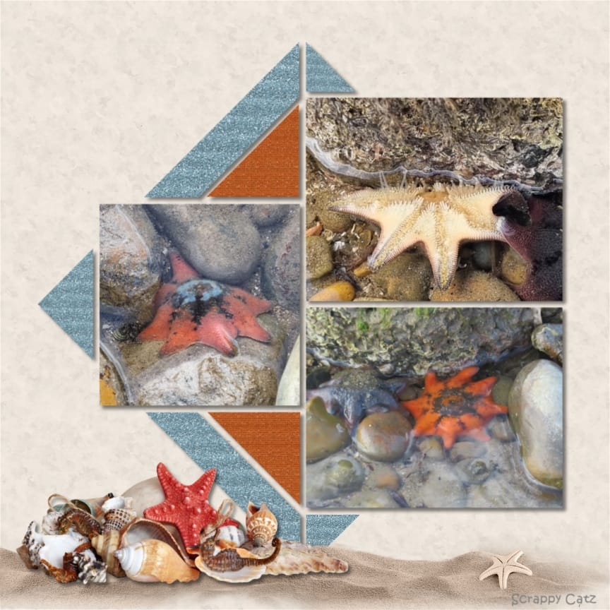 Country Patches 256 – Bev Nethercote