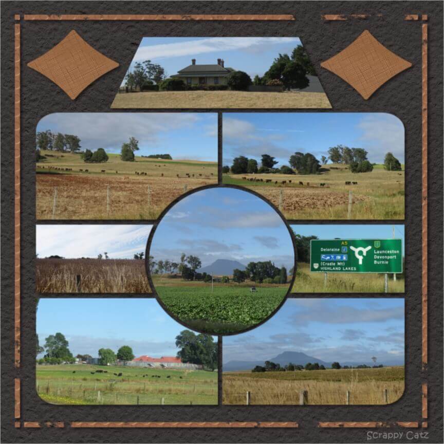 Say Cheese 28 – Bev Nethercote