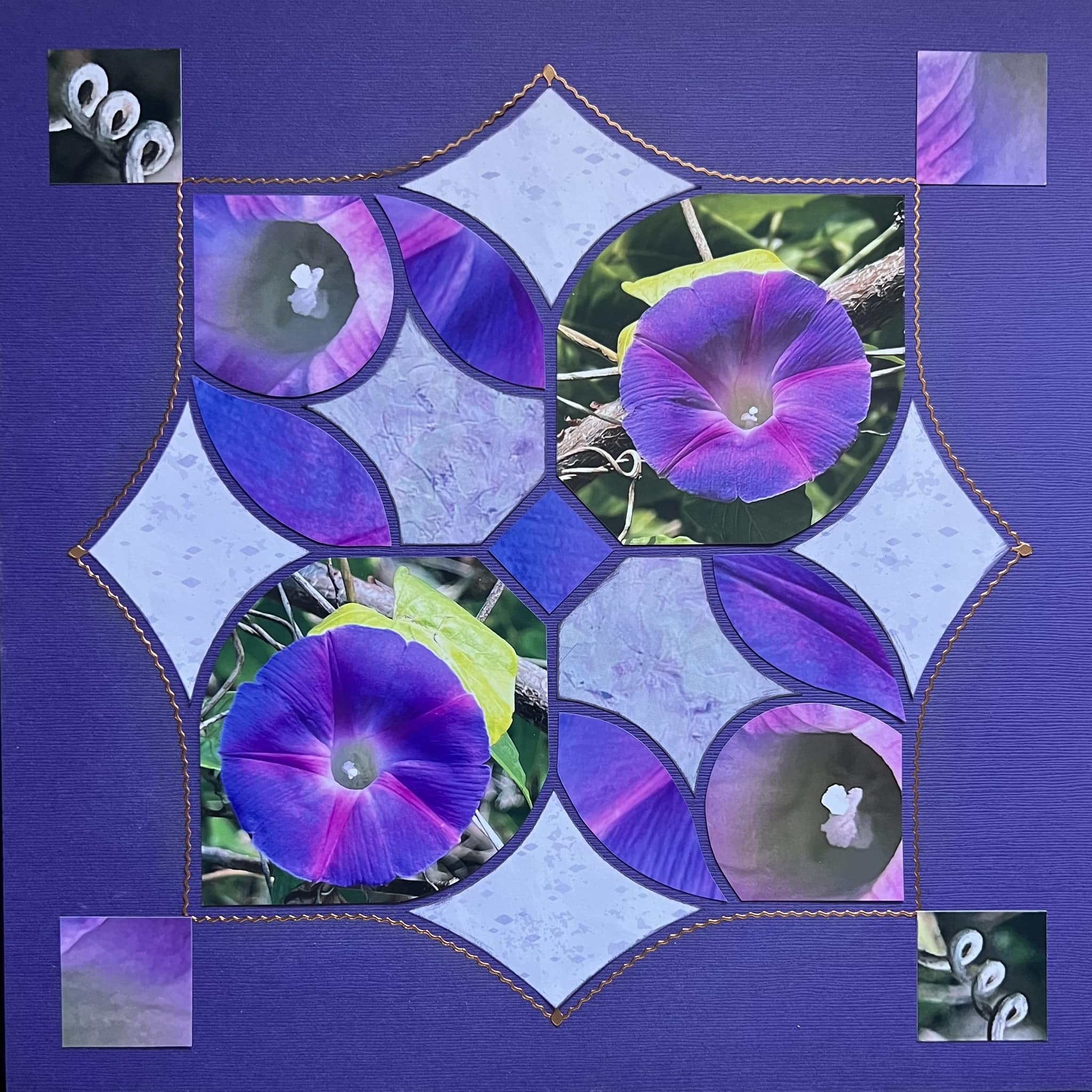 Petals 39 – Janet Oegema