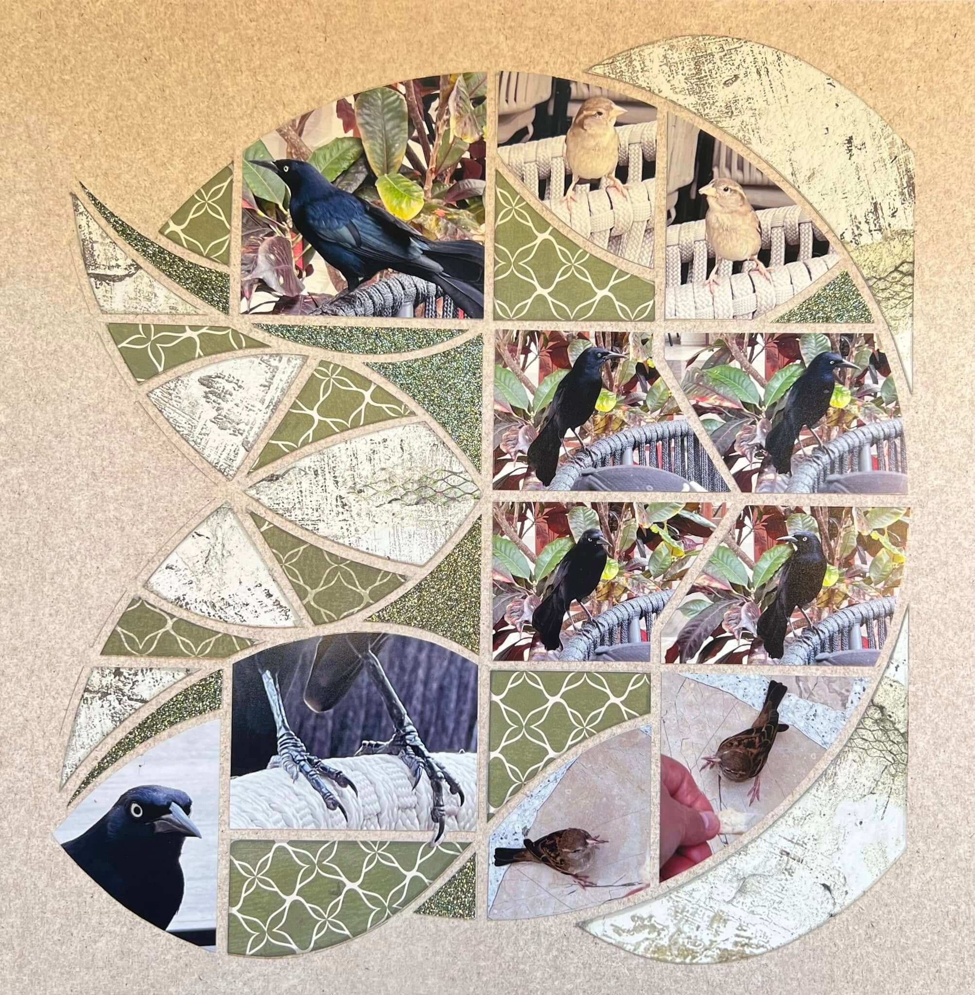Boomerang 23 – Janet Oegema