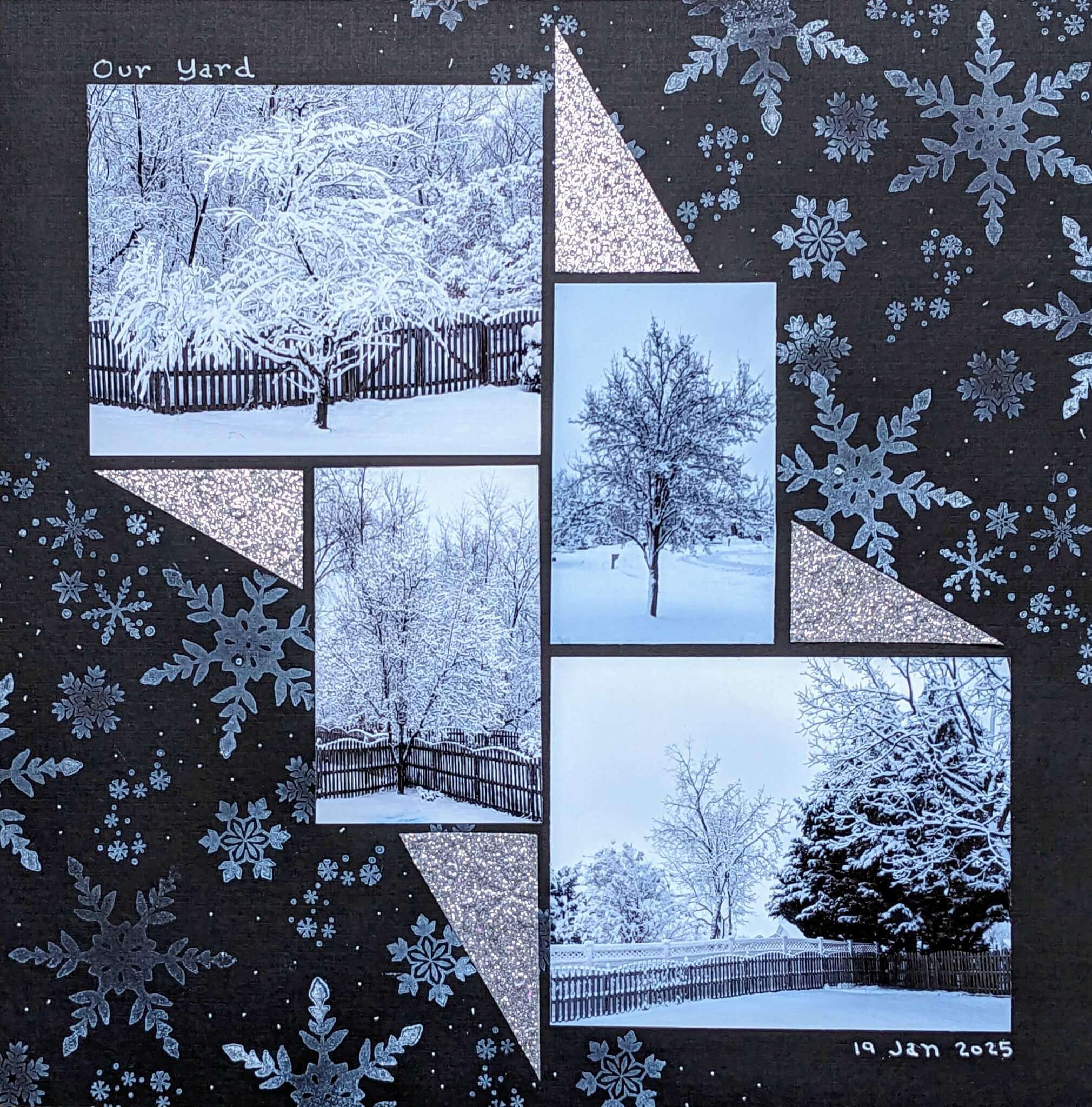 Star Anise 113 – Caryl Hickel