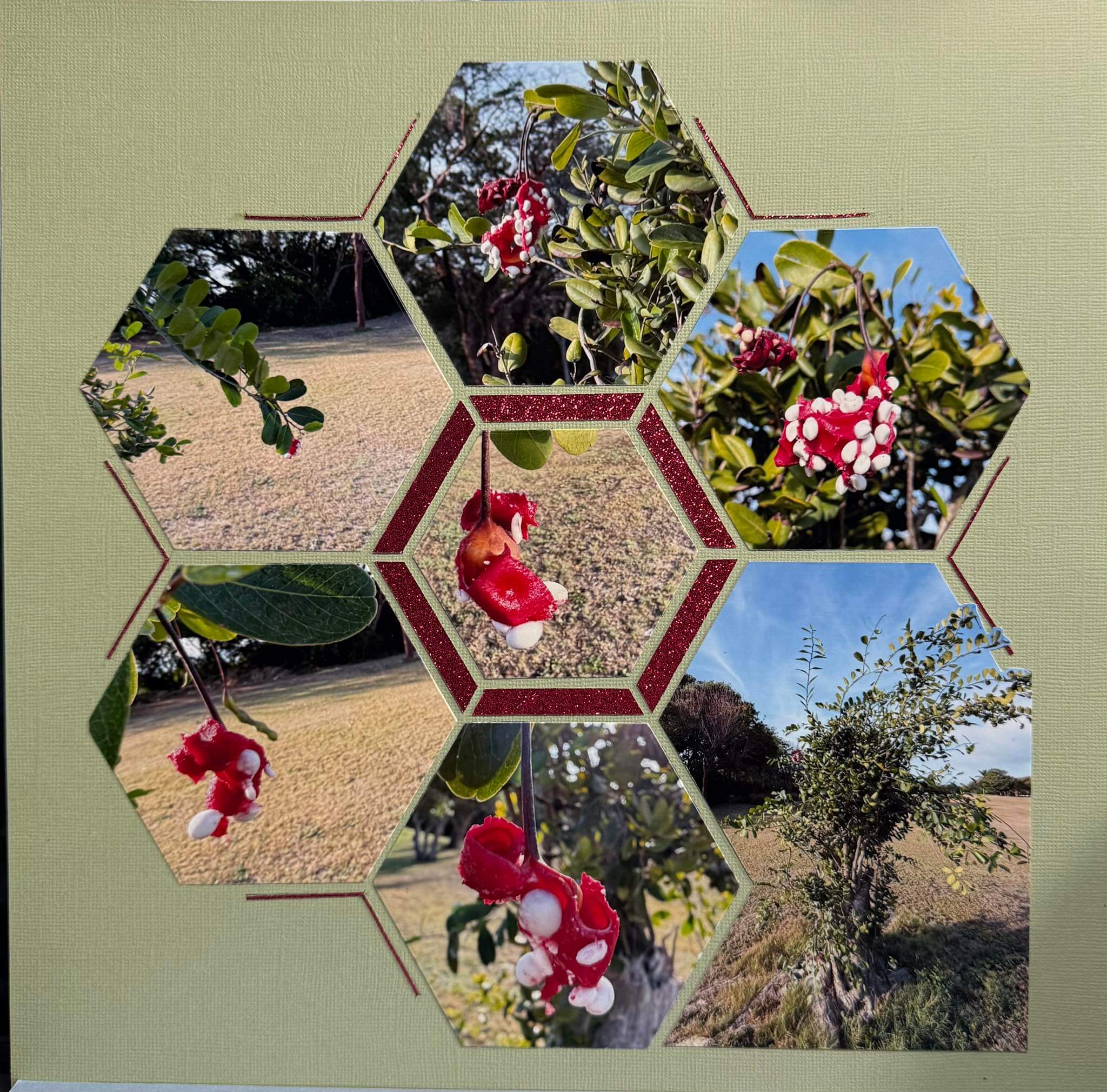 Honey Comb 92 – Janet Oegema