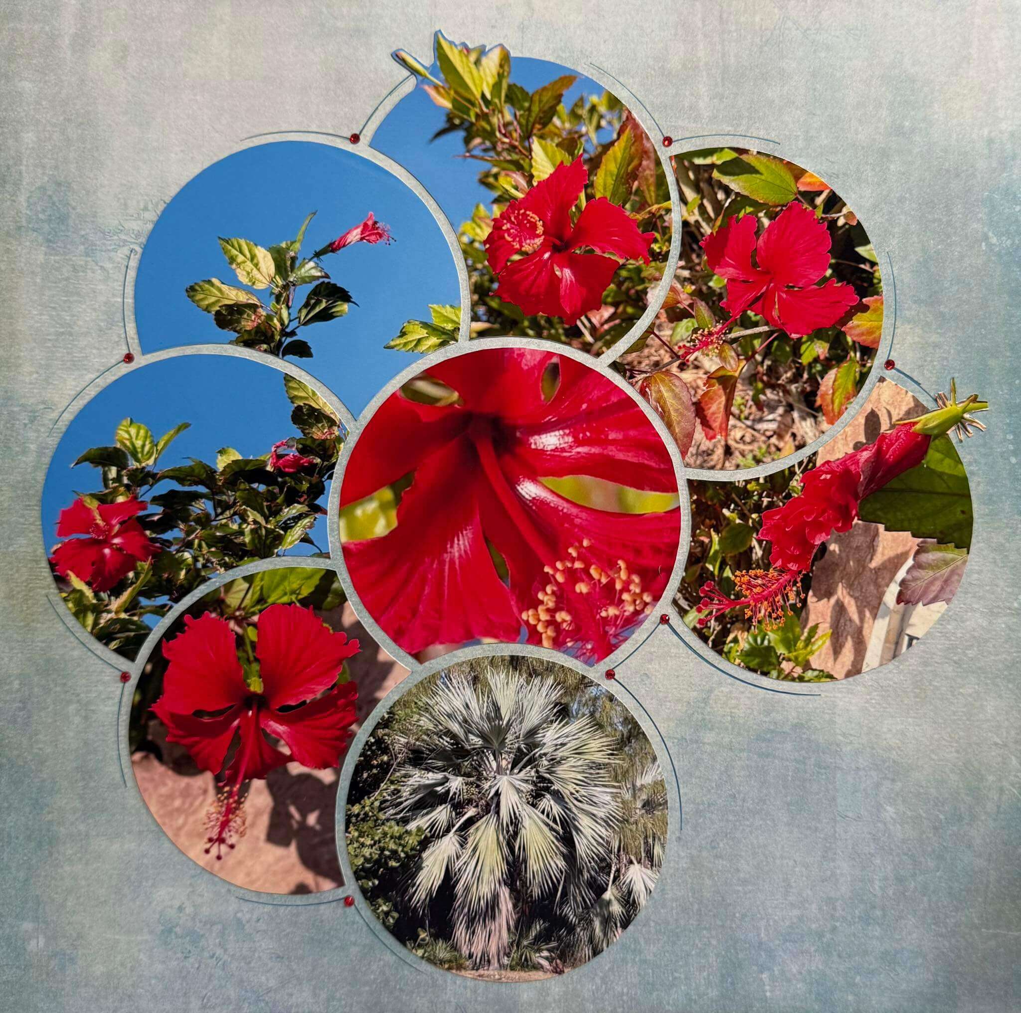 Interlocking Circles 19 – Janet Oegema